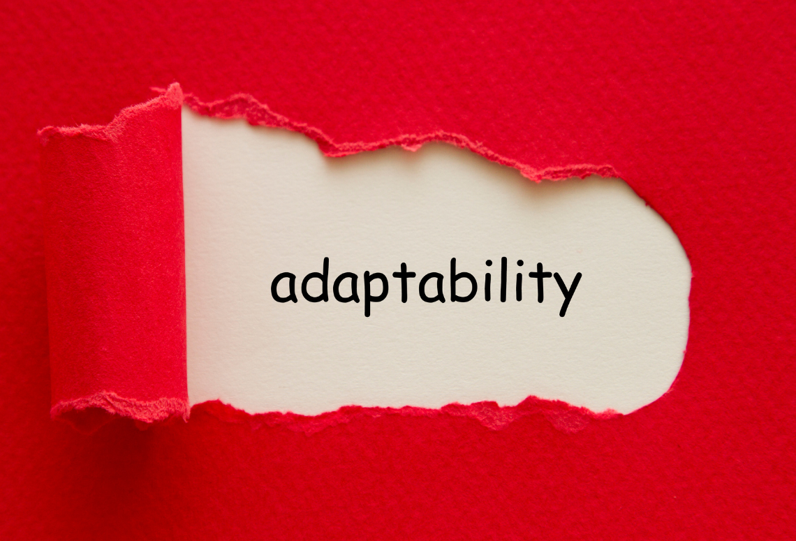 Adaptibility In Leadership